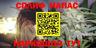 крисы Бузулук