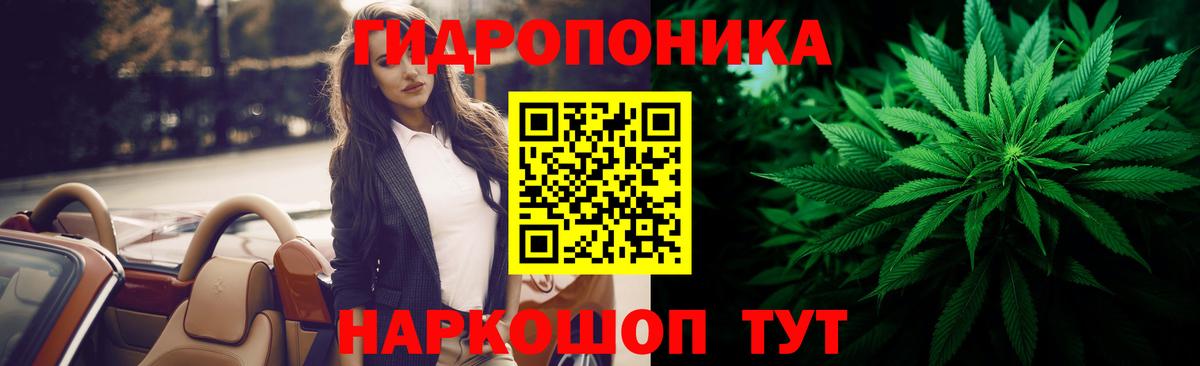 Бошки марихуана Bruce Banner  МАРИХУАНА планчик  Котельники  Вход с VPN  Марихуана Bruce Banner 